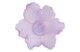 Чаша декоративная Decor de Table Pate de Verre Cristal Мак 18 см, фиолетовая, п/к