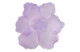Чаша декоративная Decor de Table Pate de Verre Cristal Мак 18 см, фиолетовая, п/к