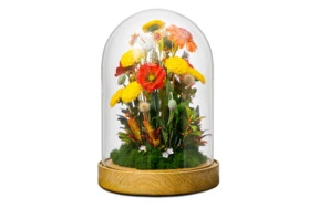 Гербера, одуванчики, маки из холодного фарфора в куполе H30