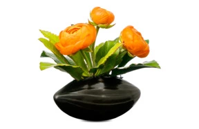 Оранжевые ранункулюсы из холожного фарфора в керамической вазе