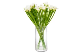 Ирисы белые из холодного фарфора